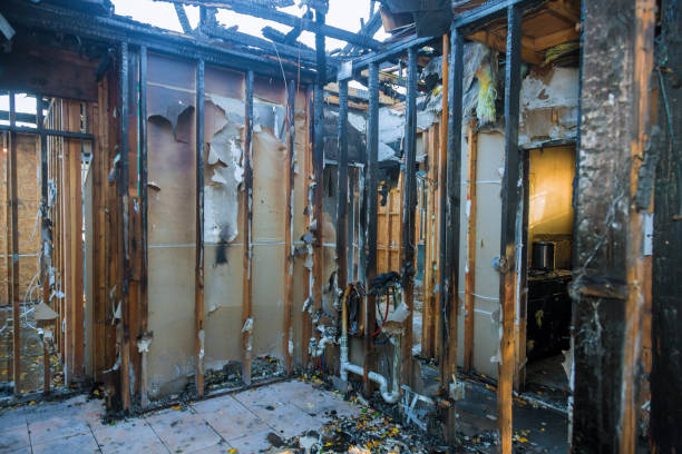 Professional Fire Damage Removal technician working in Oakland, IA